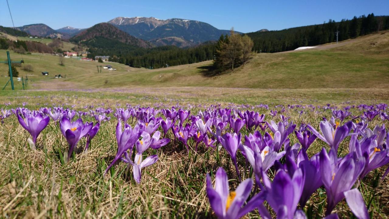 Apartmány Mammut a Yetti-Šafran Donovaly Exteriér fotografie