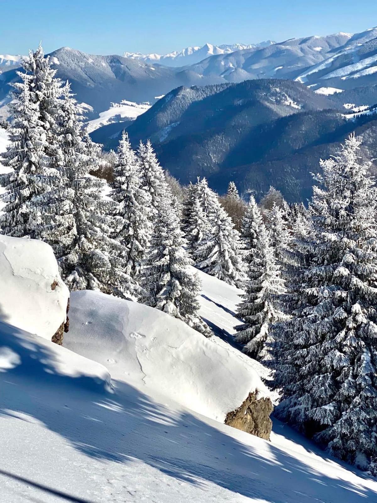 Apartmány Mammut a Yetti-Šafran Donovaly Exteriér fotografie